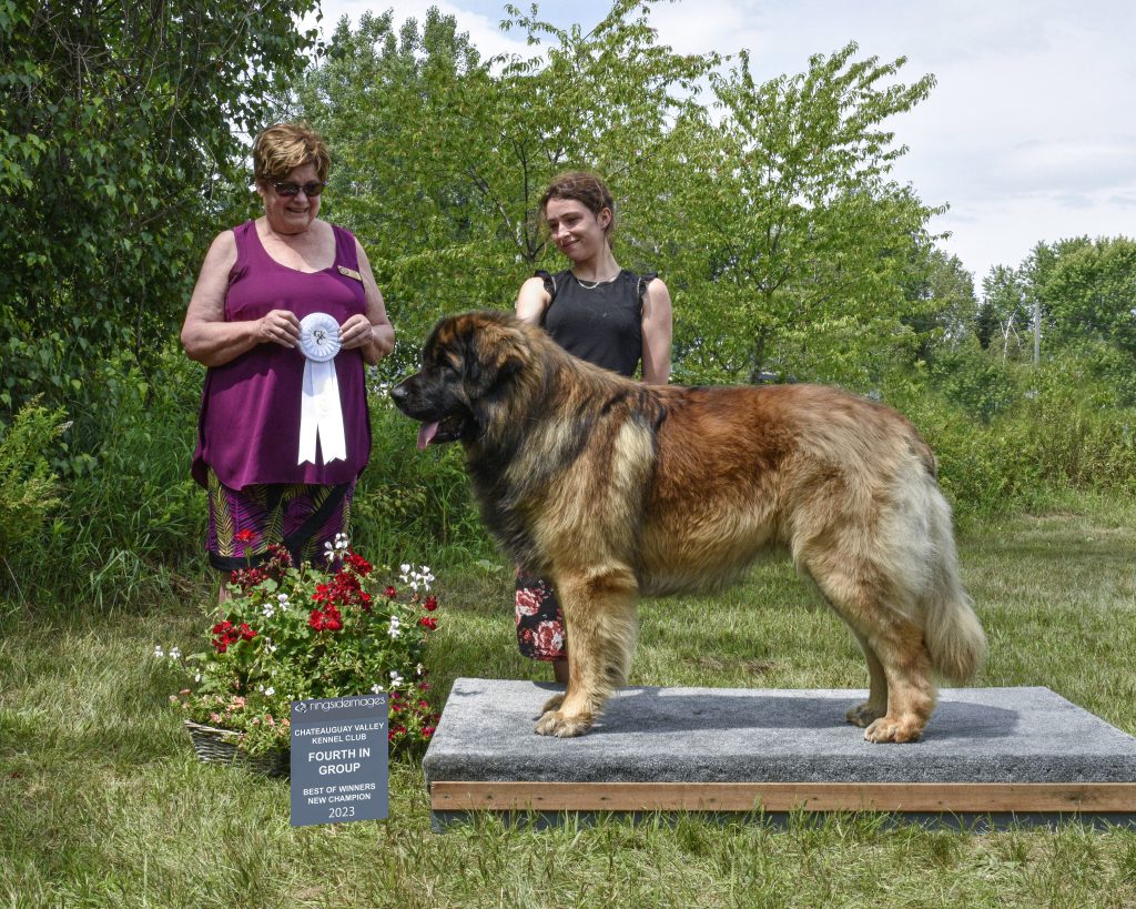 Radja