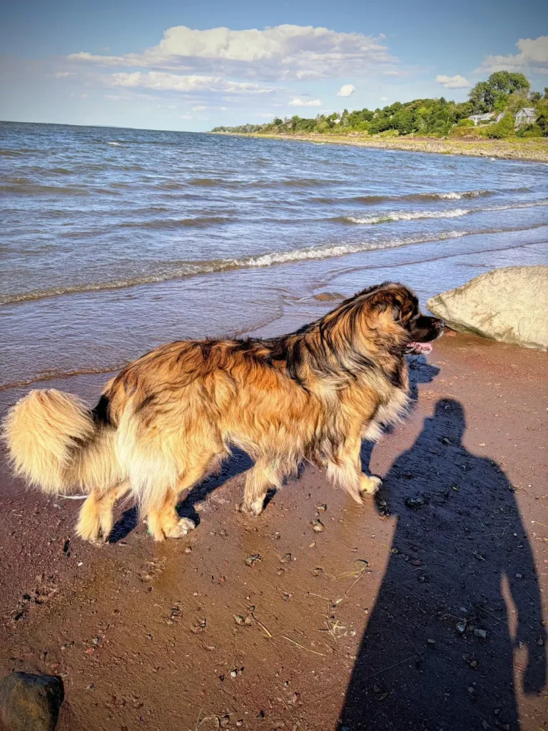 Titan à la plage